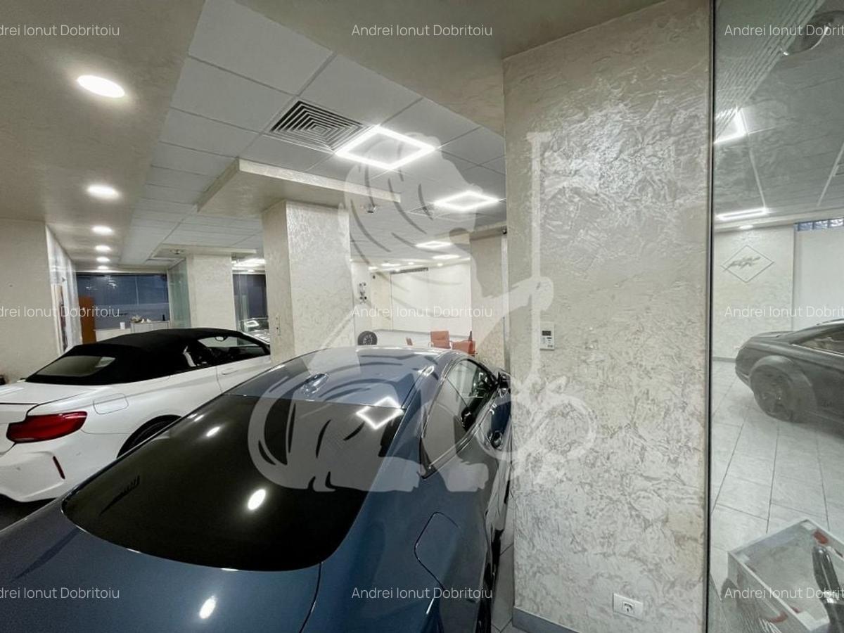 Showroom + Spatii Birouri | 1000 mp | Baneasa, Aviatiei - 10