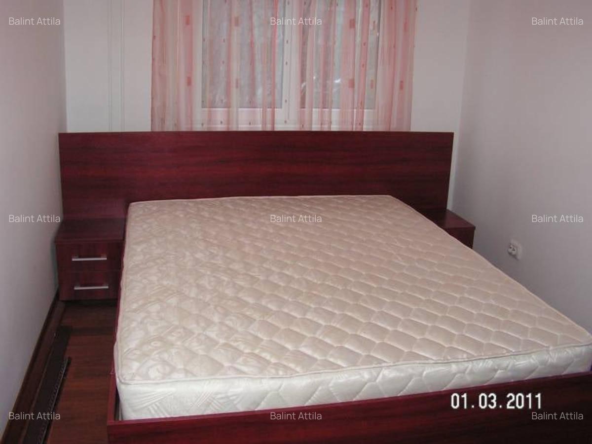 Dambovita 2 camere 350 EURO - 3
