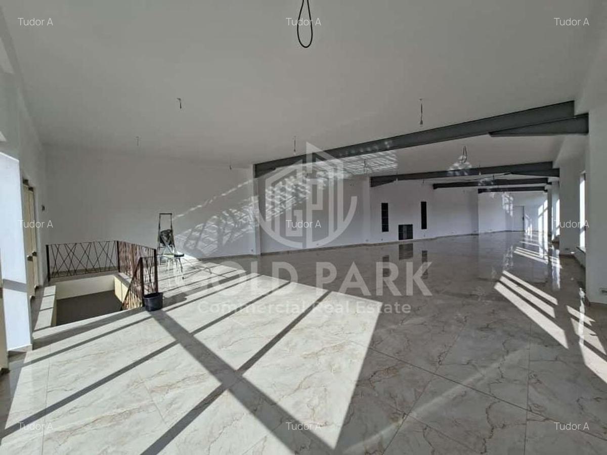 SHOWROOM - Expunere si Vitrina Mare  la Bulevard -Principal- Parcari - 5