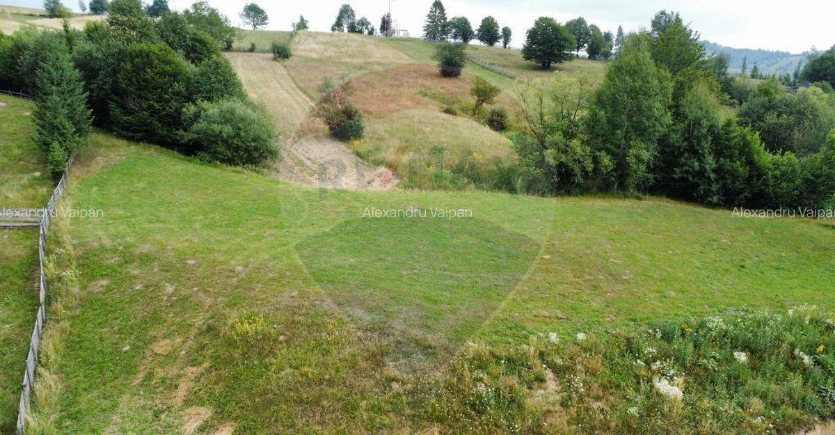 Teren 4397 mp Intravilan Manastirea Humorului / Lunga Buc... - 12