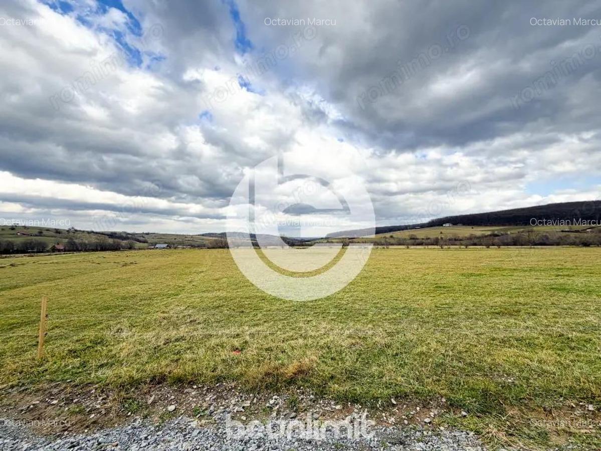 Teren intravilan in Tocile - 4354 m2 - 2 fronturi - oferta competitiva - 18