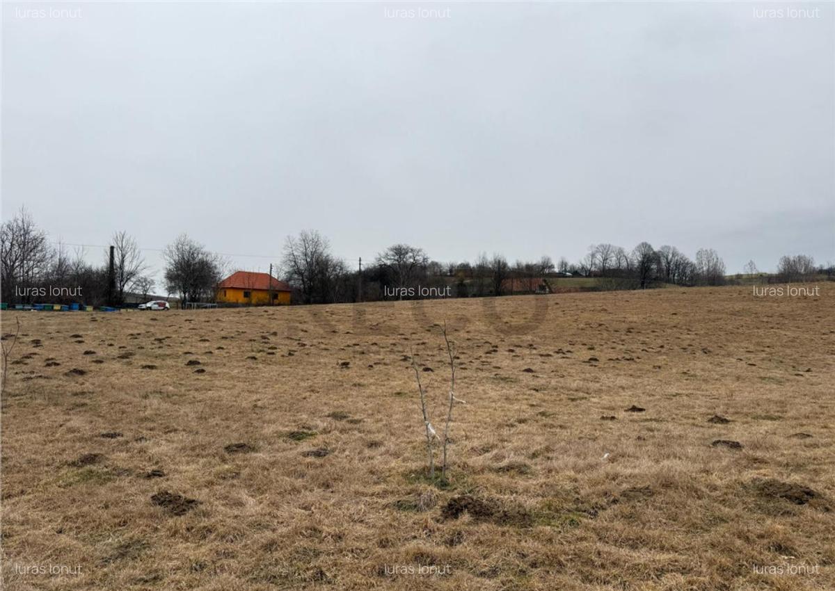 RECO , teren intravilan in Tomnatic, Vadu Crisului - 5