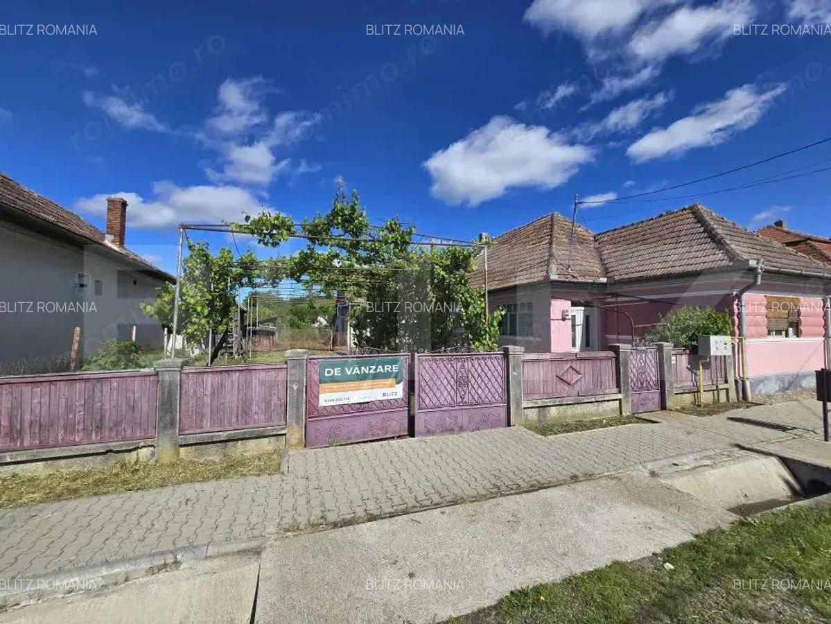 Casa de individuala, 4 camere, teren 1900mp - Zona Unirea - 12