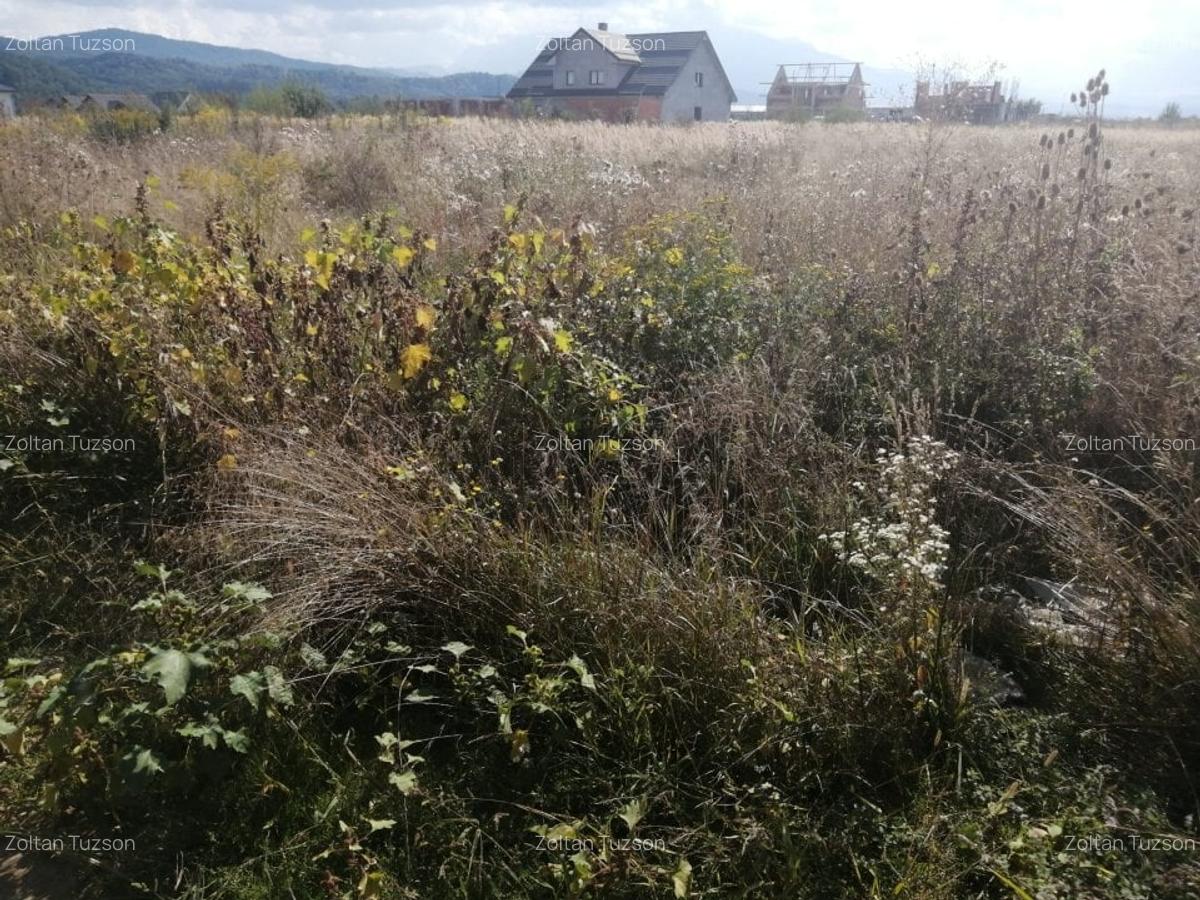 Teren Construcții intravilan de 1000 mp, în Cristian - 5