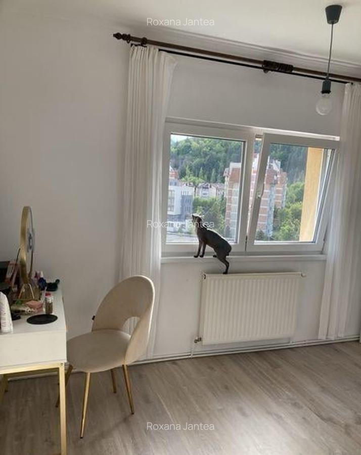 Apartament cu 3 camere decomandat, mobilat în Răcădău - 7