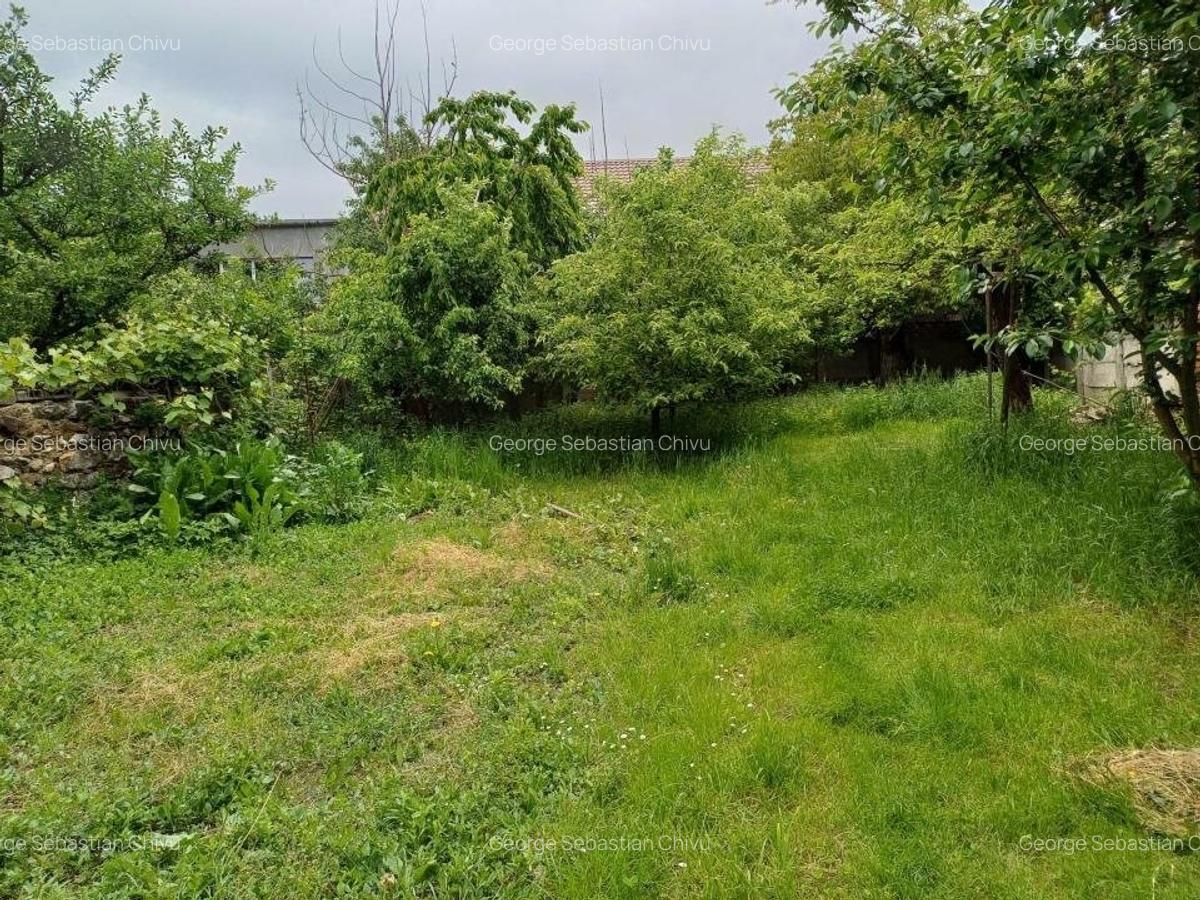 Casa batraneasca solida in zona semicentrala foarte linistita - 9