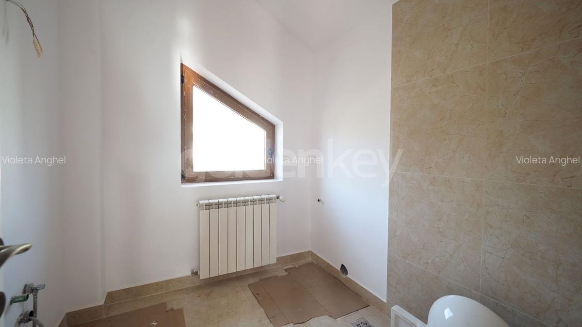 Casă individuală cu 10 camere în Iancu Nicolae - 23