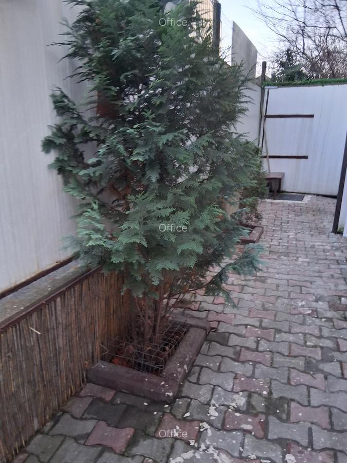 Vanzare aprtament cu 1 camera + terasa - 6