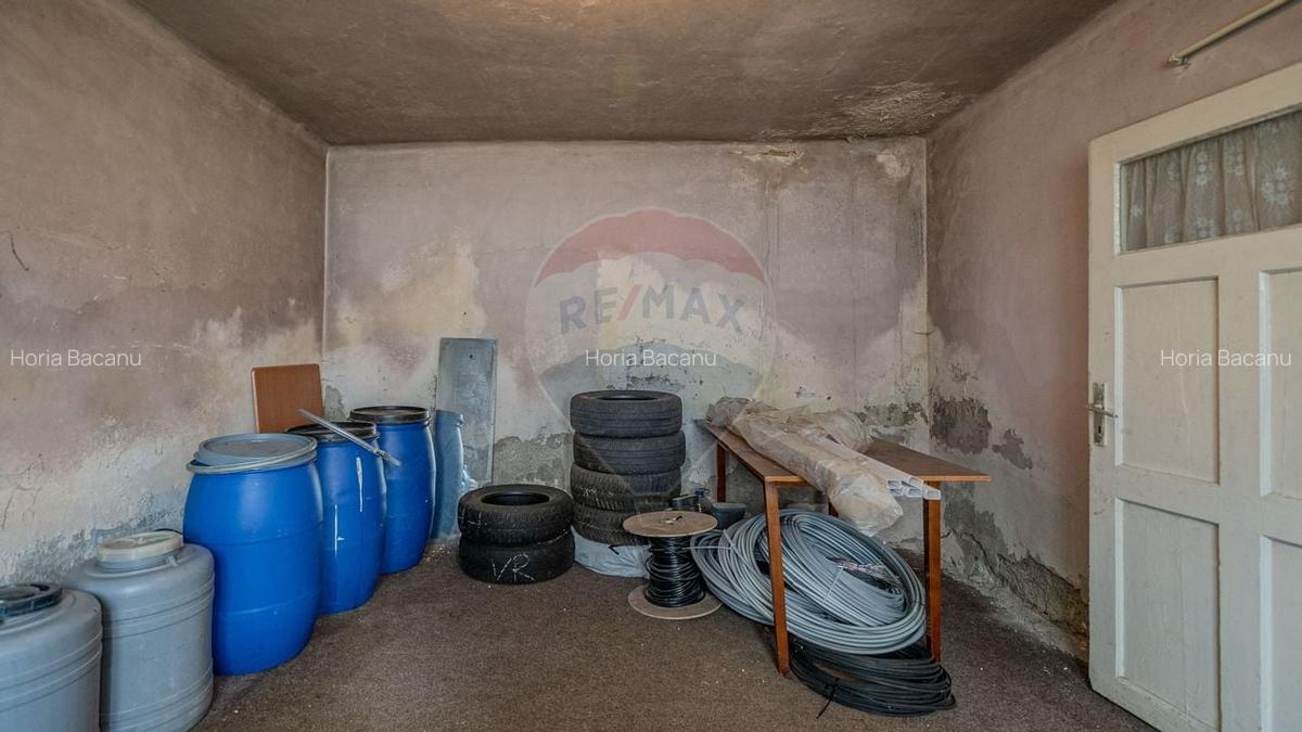 Comision 0 | Casa cu 3 camere, teren 1541 mp, livada, beci si garaj - 21