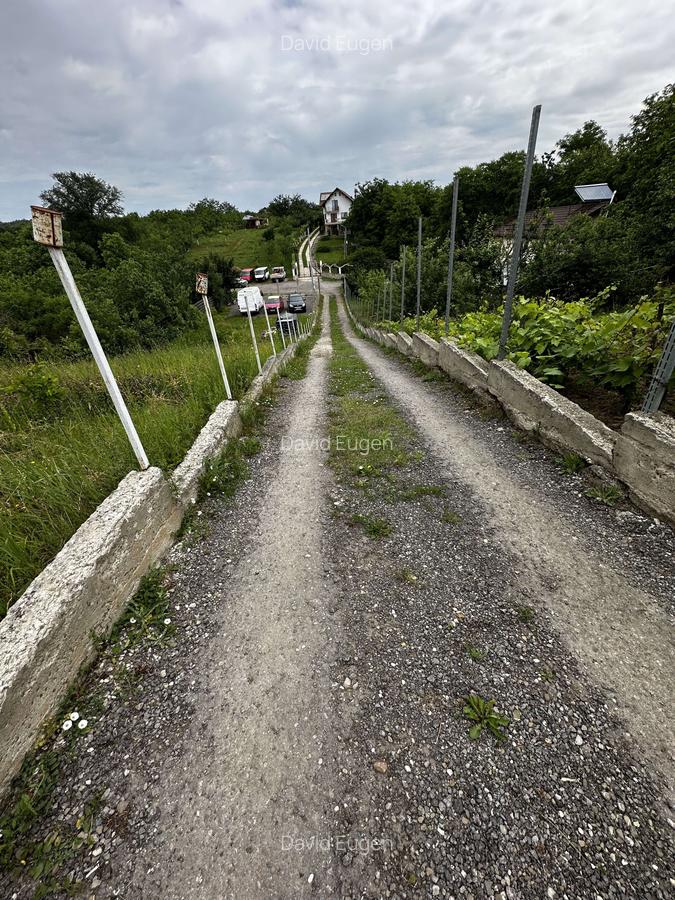 Teren Construcții intravilan de 892 mp, în Păulești - 3