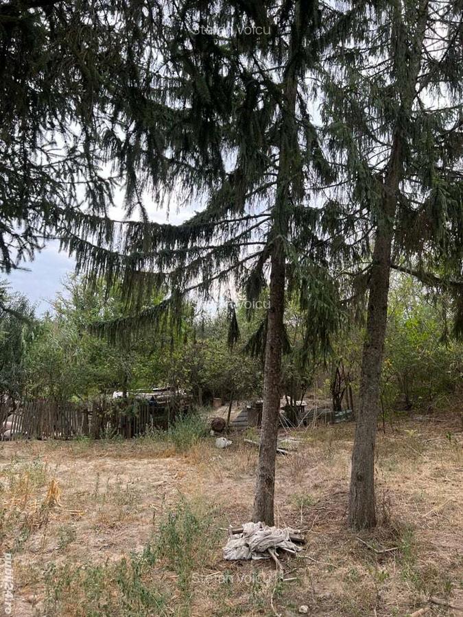 Casa de anzare con Ion corvin - 4 Casa de anzare con Ion corvin - 4