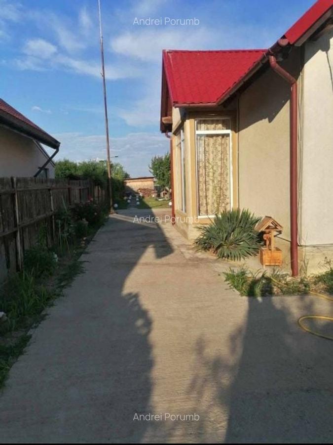 Individuala P+M Becicherecu Mic,4 Camere,Piscina exterioara,Teren Generos - 4