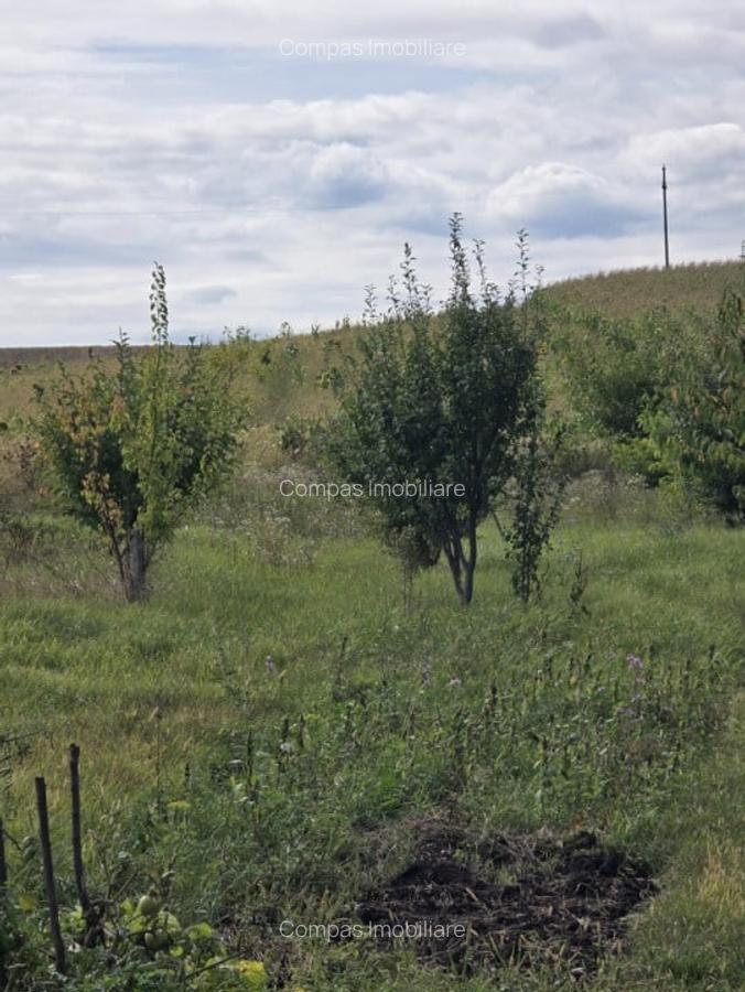 Vila ta in mijlocul naturii | Caciulesti, dotari moderne - 9