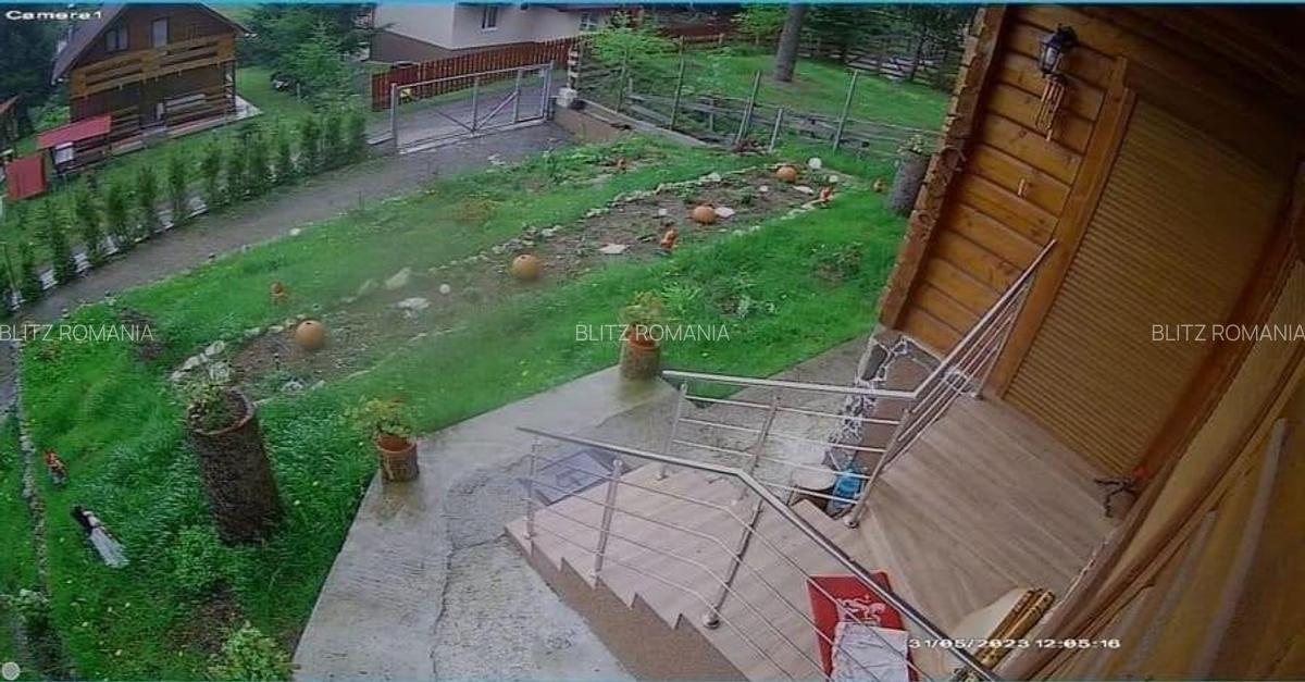 Casa de vacanta, 4 camere, 119 mp utili, 2300 mp de teren, Marisel - 5