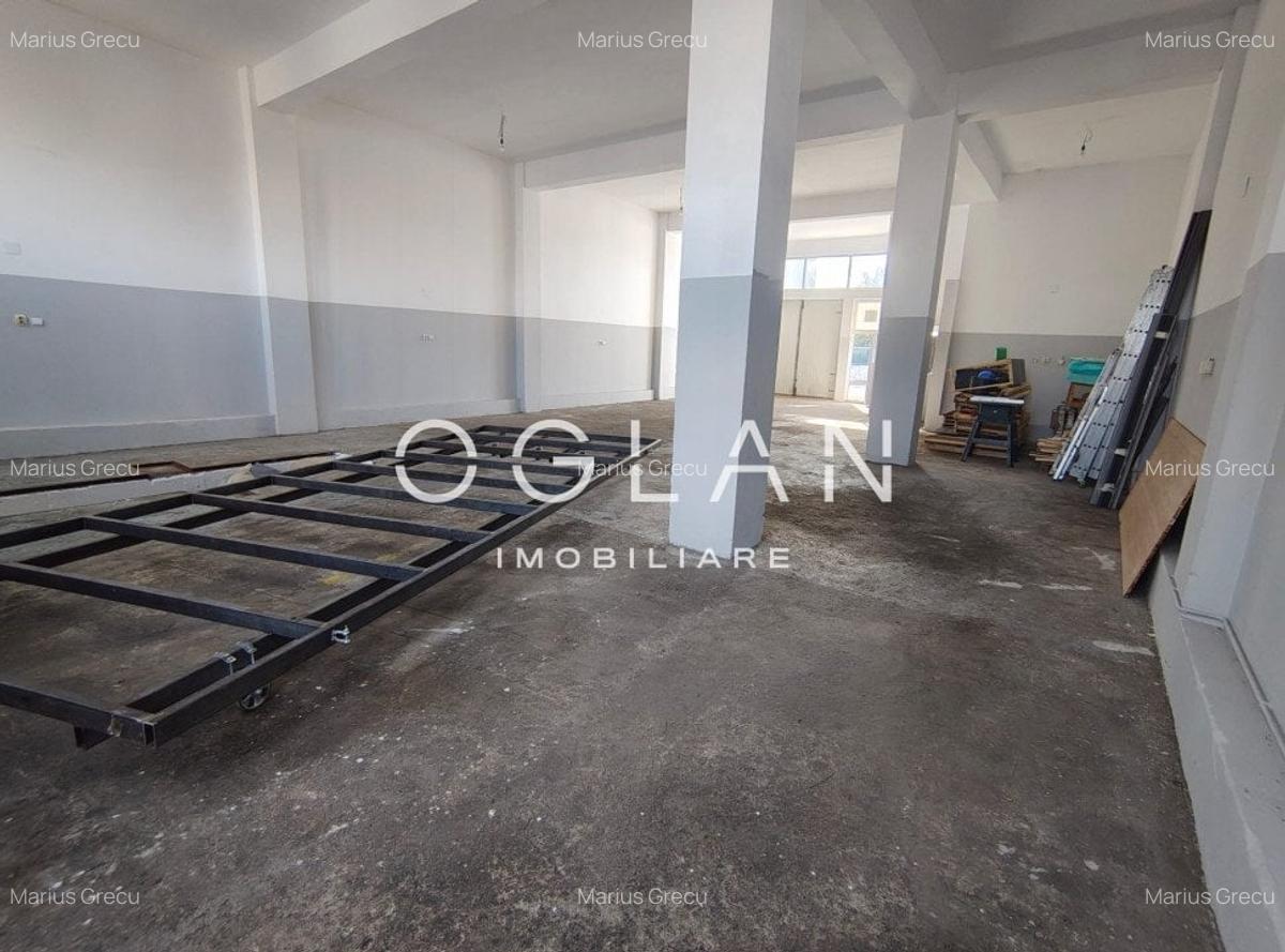 Spatiu comercial 450 mp (P+E)- zona Terezian - 4
