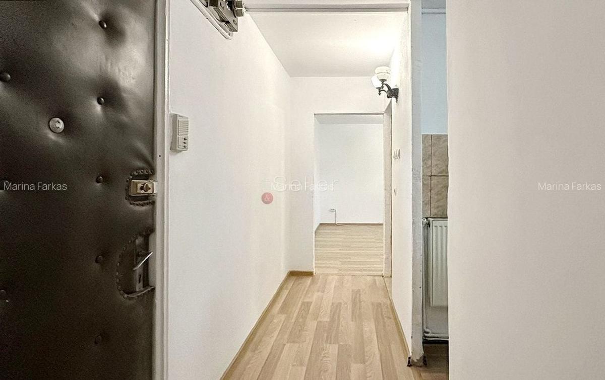 Recent Renovat Pozitionare Sudica - 29