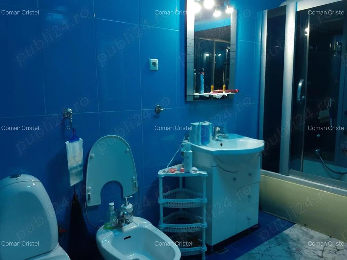 Vanz. P + M mobilata si utilata, caramida, 500.mp.,d.9 ml, 2 garaje str. Grivitei cu G.E.Grigorescu - 7