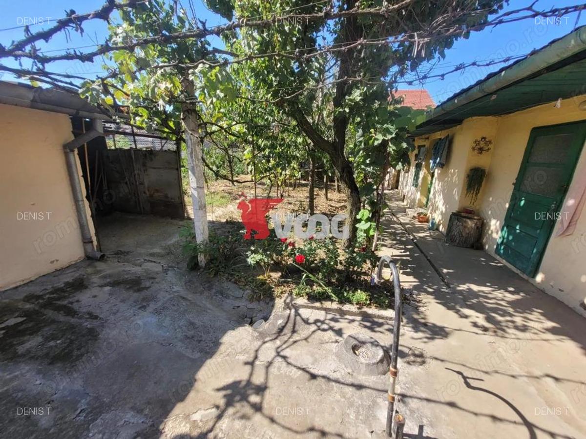 Casa individuala Freidorf - 3