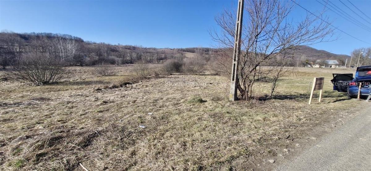 Teren Construcții intravilan de 3893 mp, în Borod - 6