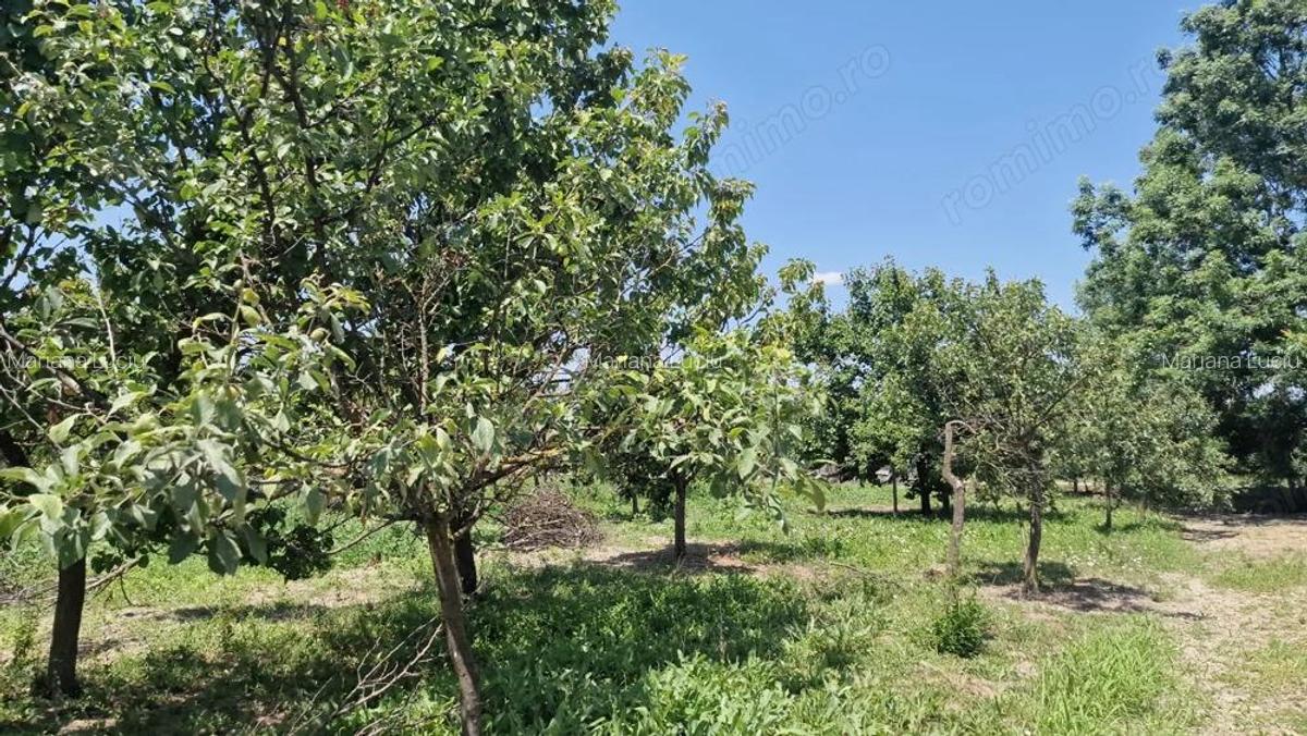 Casa de vanzare cu 4 CAMERE in zona rurala - 10