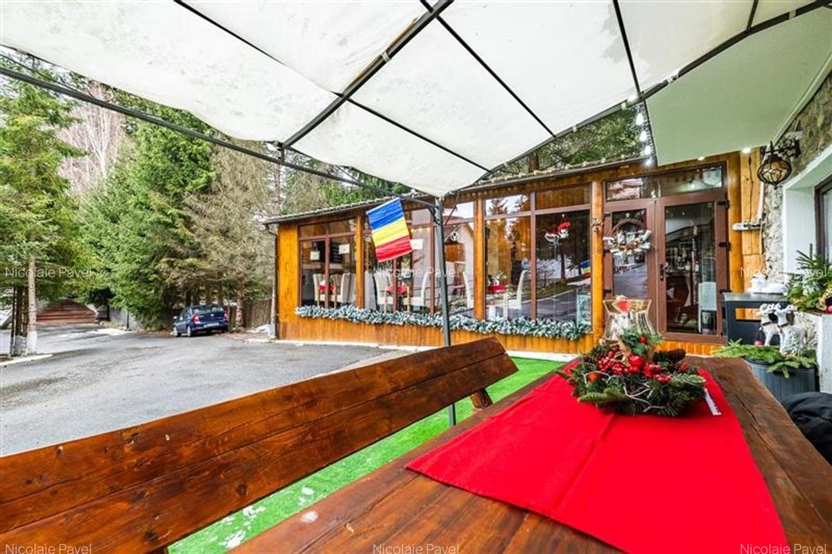 O alegere inspirata in inima vestitei statiuni montane,Imobilare&Transfer de Afa - 9