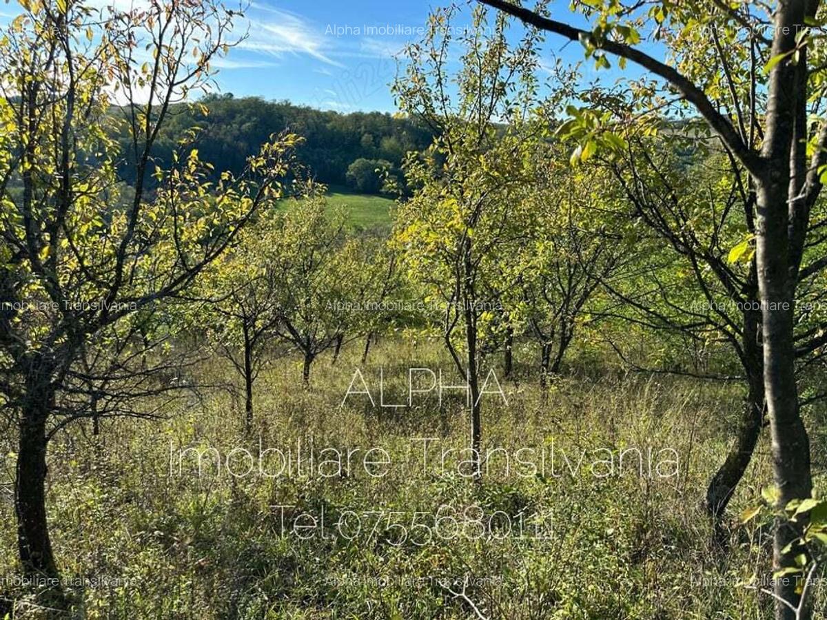 Teren intravilan in Fetindia - 1