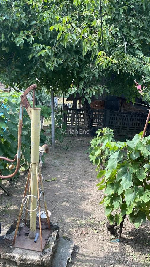 Se vinde CASA, teren intravilan BONUS , suprafata totala 3600 mp - 2