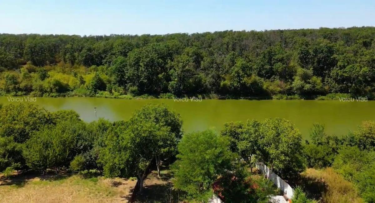 BRANESTI-VILA SUPERBISSIMA,LA LAC,PISCINA,FANTASTICA,UNICAT,700000 EURO - 18 BRANESTI-VILA SUPERBISSIMA,LA LAC,PISCINA,FANTASTICA,UNICAT,700000 EURO - 18