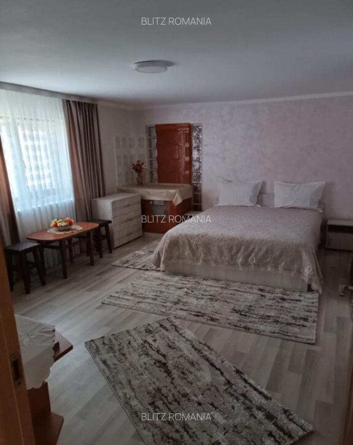 Casa individuala, teren 5200mp, oportunitate de investitie, - 4