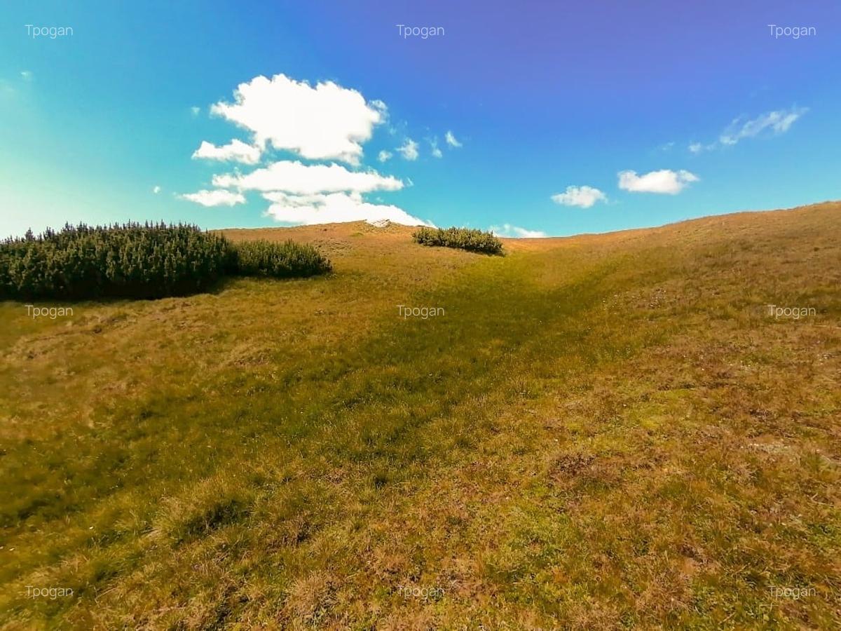 Terenuri in Bucegi, Zona Alpina Inalta, pentru dezvoltare cabane, vile turistice - 13