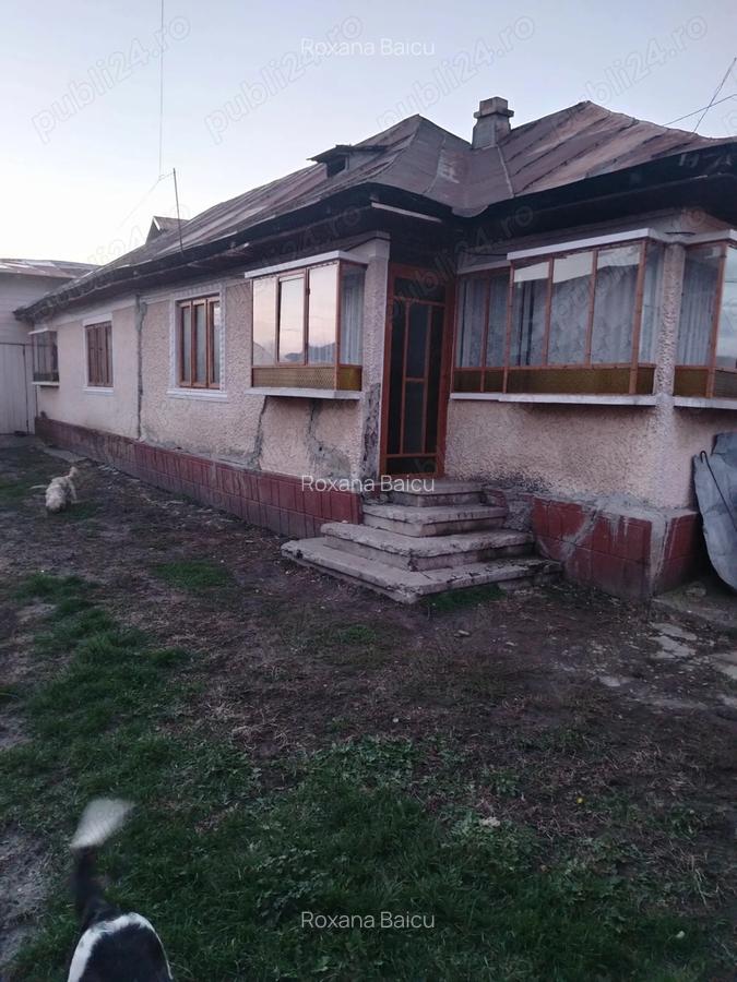 Casa batraneasca plus teren - 3