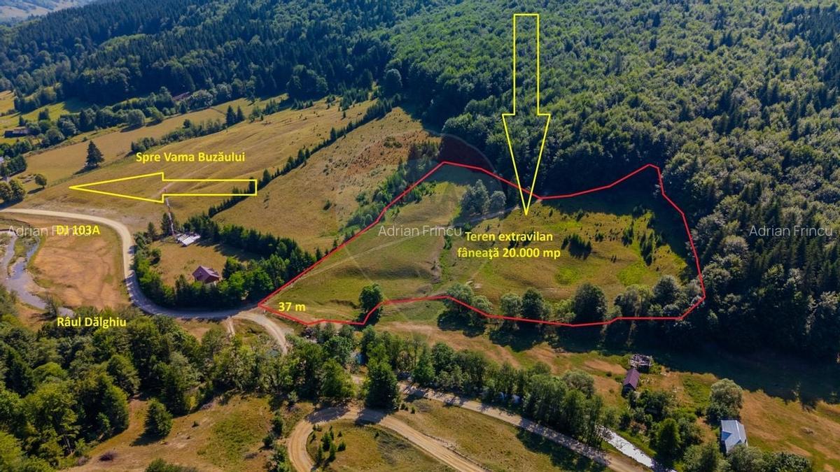 Teren 20000 mp, sat Dalghiu, com Vama Buzaului - 10