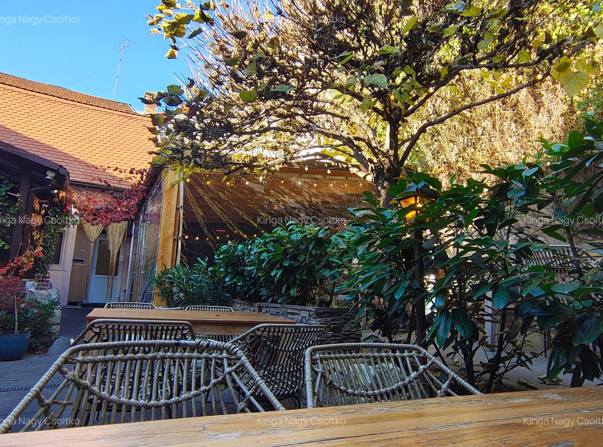 DE VÂNZARE – Spațiu de alimentație publică 53mp+111mp teren - 12