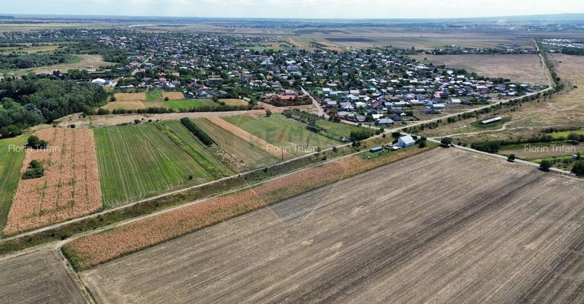 Teren 5,000mp Vanatori - 2