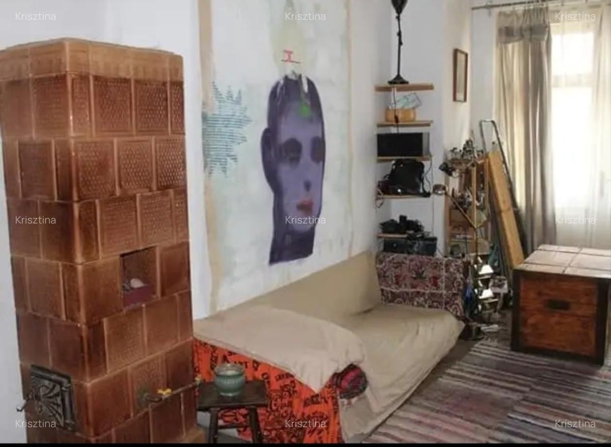 Apartment artistic in centrul Clujului de vanzare - 3