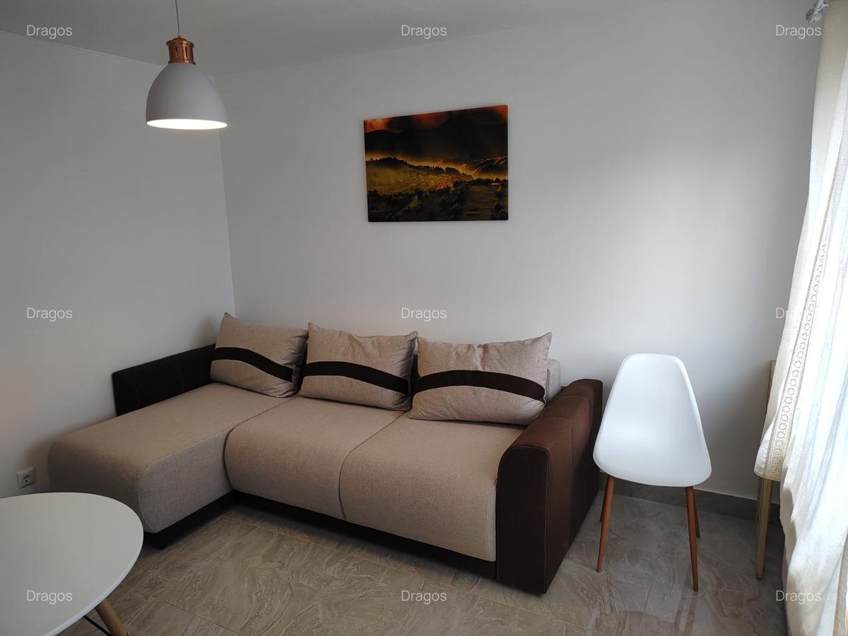 Apartament cu 1 camera aproape de Agronomie - Calea Aradului - 2