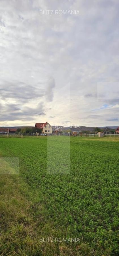 Teren intravilan de 1000mp in Chilieni, zona rezidentiala noua - 1