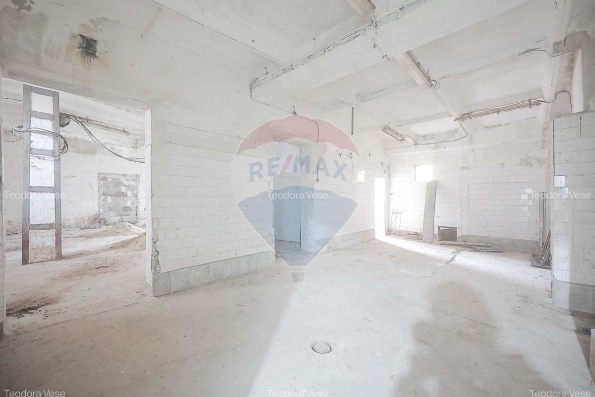 Spațiu industrial, 800 mp în Tilecuș - 4