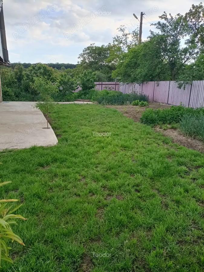 Vand casa in Barsanesti, judetul Botosani, teren 3868 mp - 8