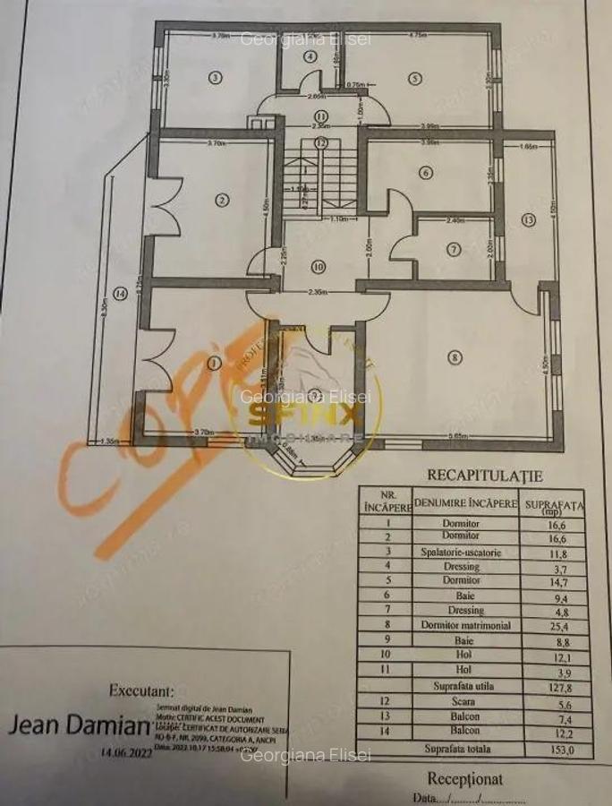 Casa 6 Camere, gradina spectaculoasa, Erou Iancu Nicolae - 9