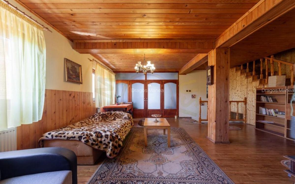 Casa rustica P+1 in zona de deal Bogati, AG - 25