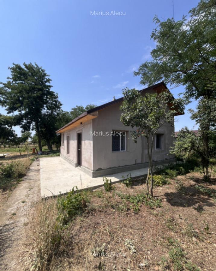 Casa de vacanta - Munteni Buzau - Jutetul Ialomita - Curte 2 - 13