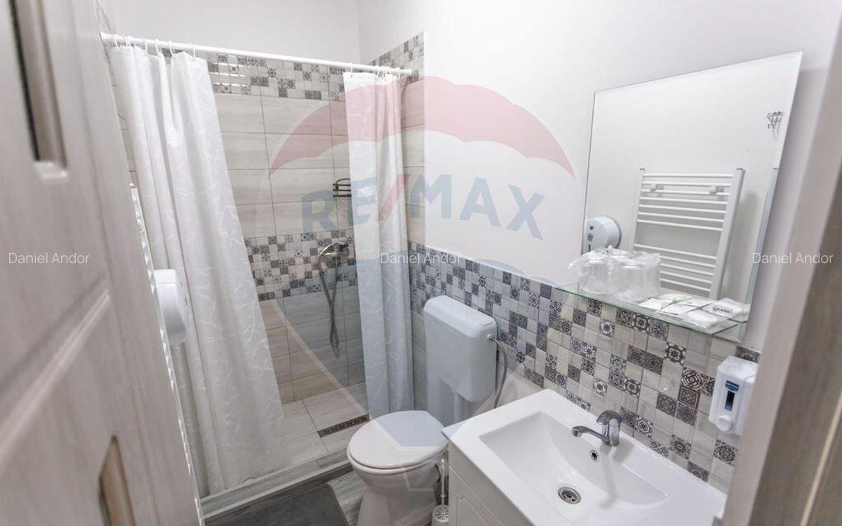 Pensiune agroturistica cu 6 camere + Casa de locuit, de... - 13