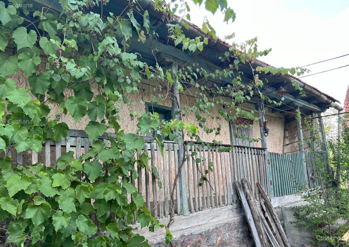 Casa la ?ara, zona pitoreasca, Patar? - 5