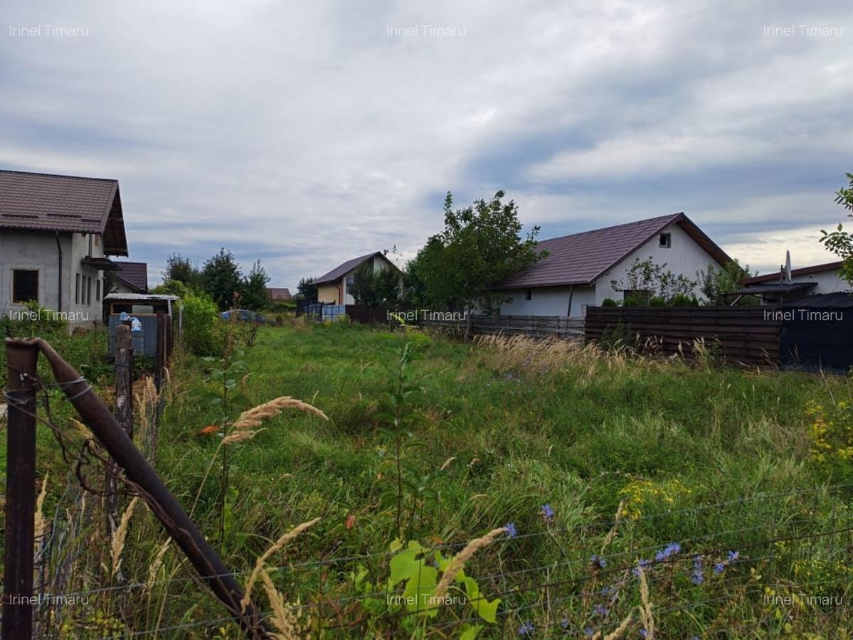 Teren 600mp Serbanesti - 3