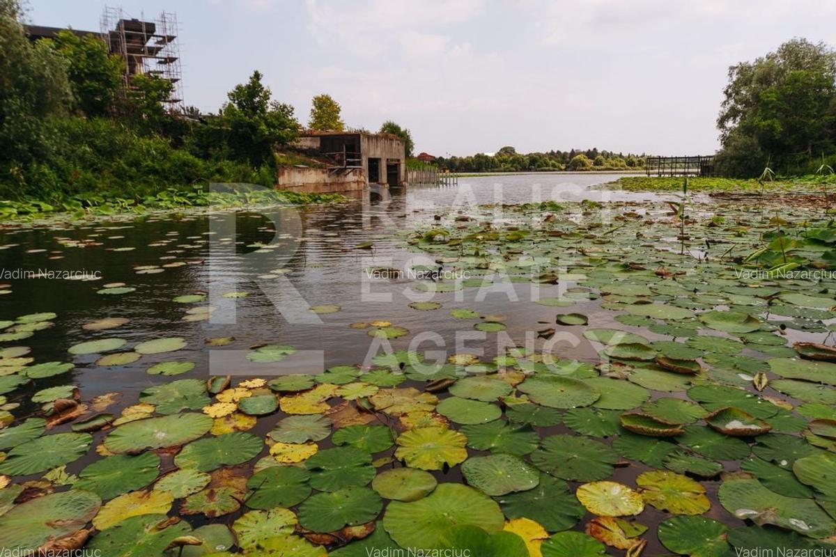 Casă cu piscină și ieșire la lacul Snagov - 6