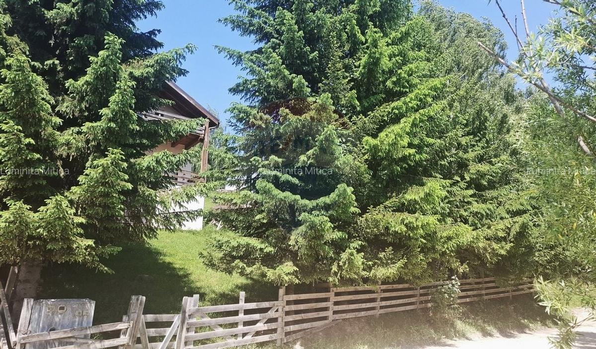 Casa de vacanta in Magura, la poalele Muntilor Piatra Craiului - 14 Casa de vacanta in Magura, la poalele Muntilor Piatra Craiului - 14