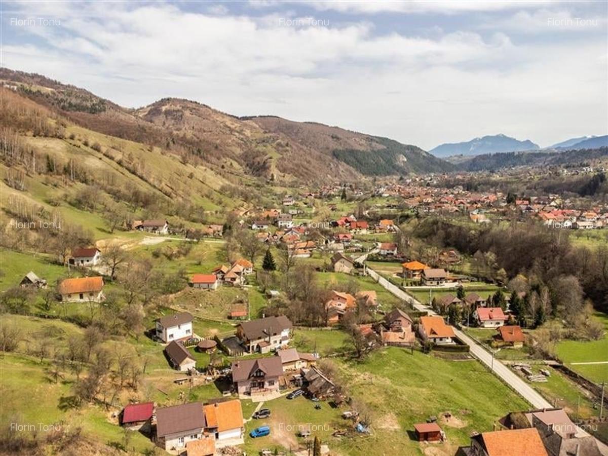 FILM! Rezidenta traditionala, peisagistica impresionata, domeniu de 6.500mp, Moi - 2 FILM! Rezidenta traditionala, peisagistica impresionata, domeniu de 6.500mp, Moi - 2