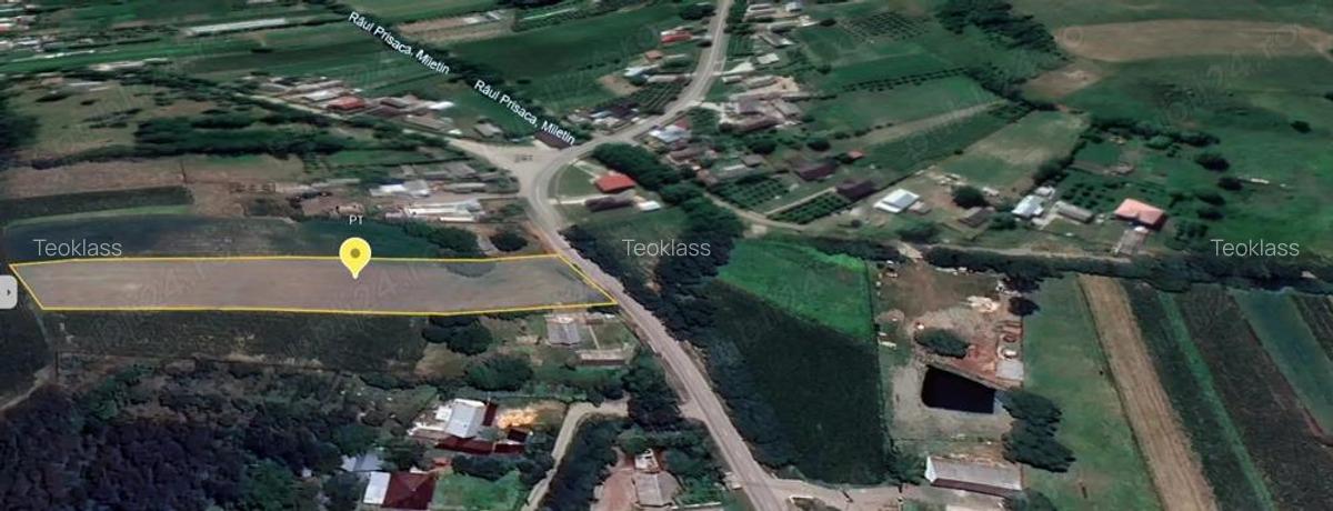 Teren intravilan Petia - 4