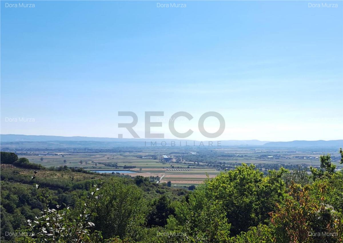 RECO teren intravilan Podgoria - 4